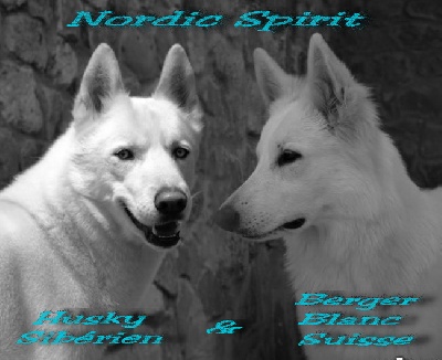 Nordic Spirit
